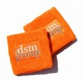 DSM Group Wristband