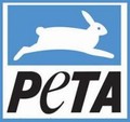 Animal Planning Packet