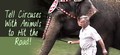 PETA Circus Leafleting Stickers